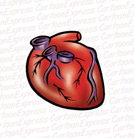 heart